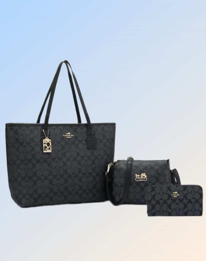 COACH_Premium_3pcs_Tote_Bag_746