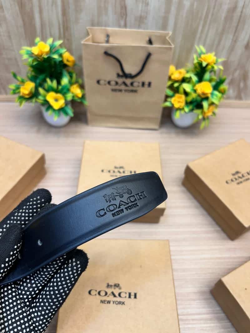 COACH_BELT_C168
