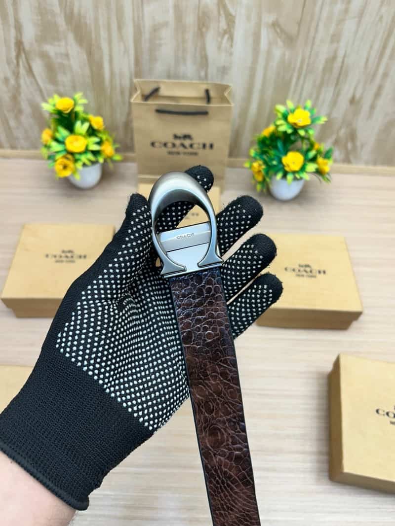 COACH_BELT_C165