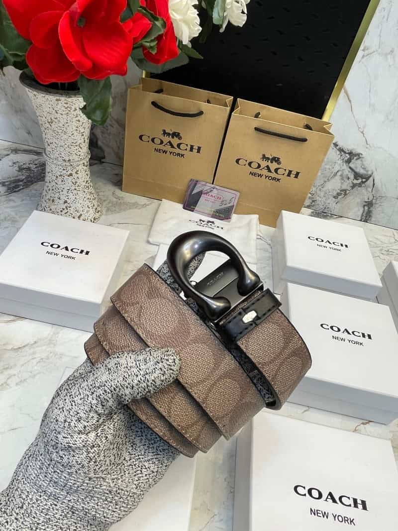 COACH_BELT_C136