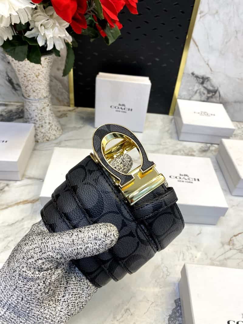 COACH_BELT_C90
