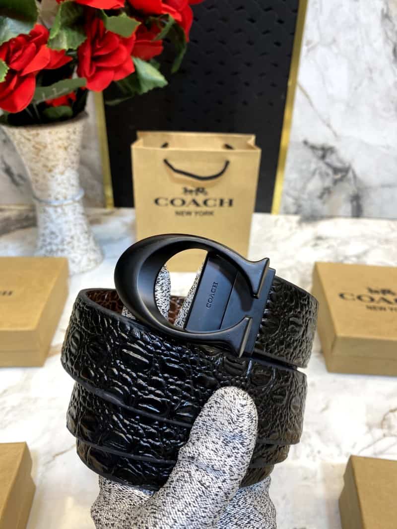 COACH_BELT_C78