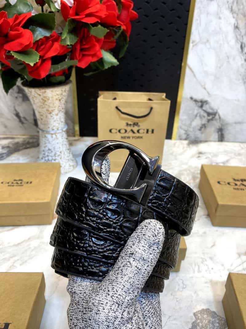 COACH_BELT_C76