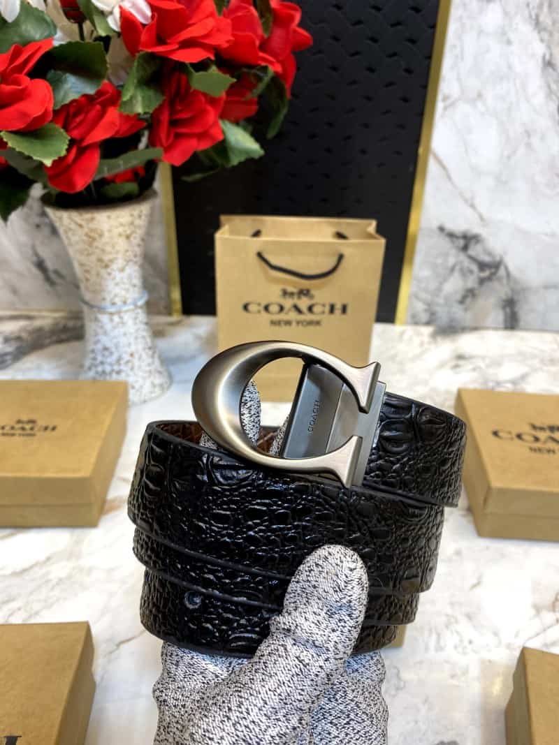 COACH_BELT_C77