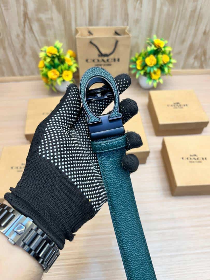 COACH_BELT_C172