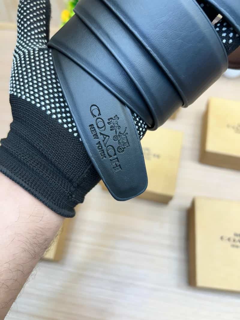 COACH_BELT_C164