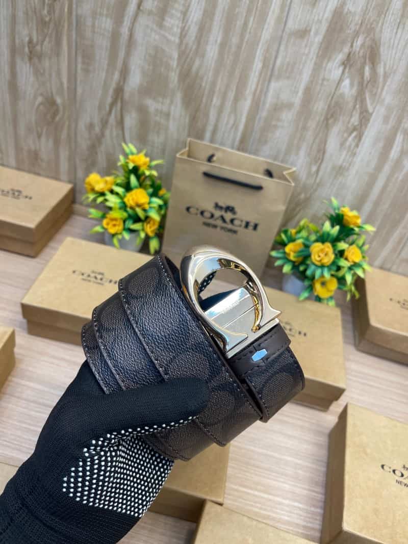 COACH_BELT_C153
