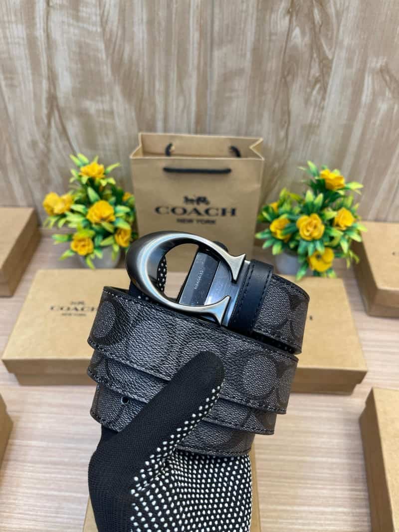 COACH_BELT_C149