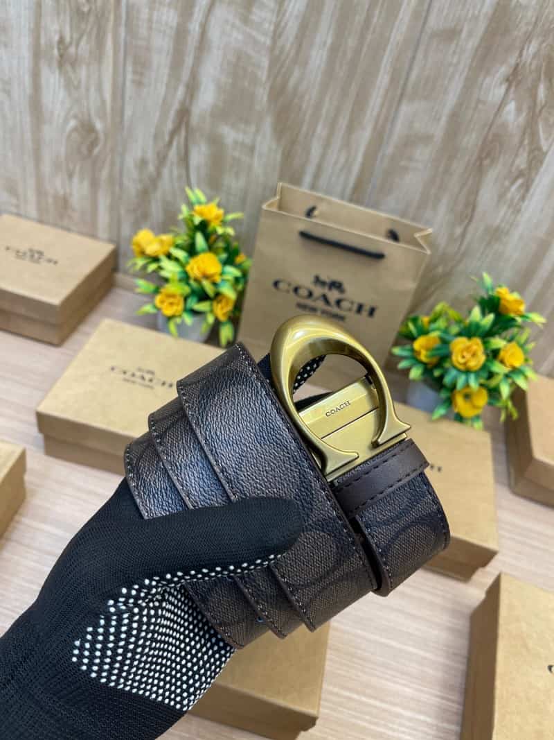 COACH_BELT_C151