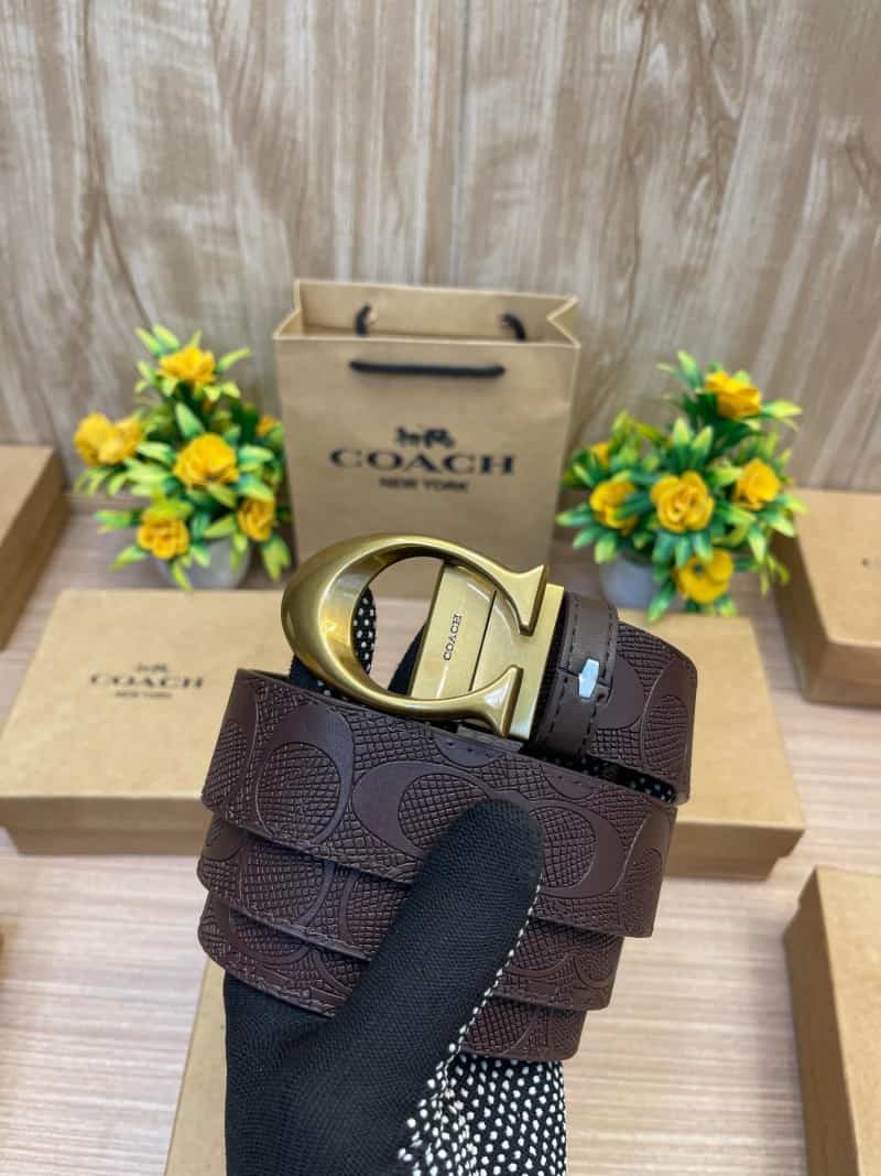 COACH_BELT_C151