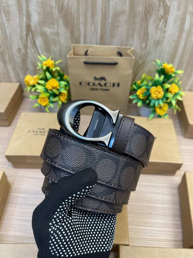 COACH_BELT_C145