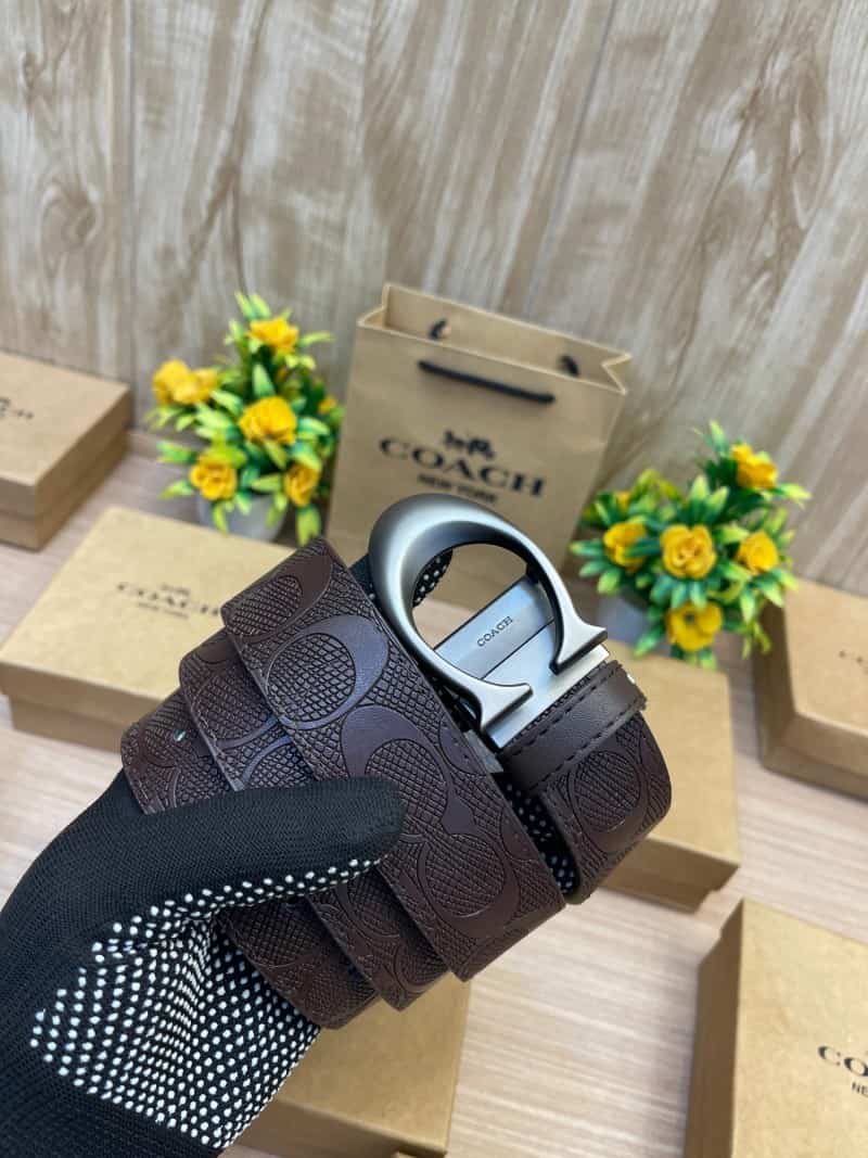 COACH_BELT_C146