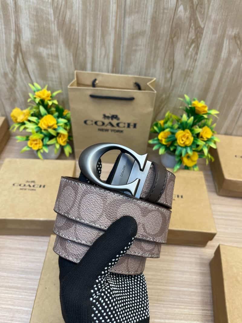 COACH_BELT_C144