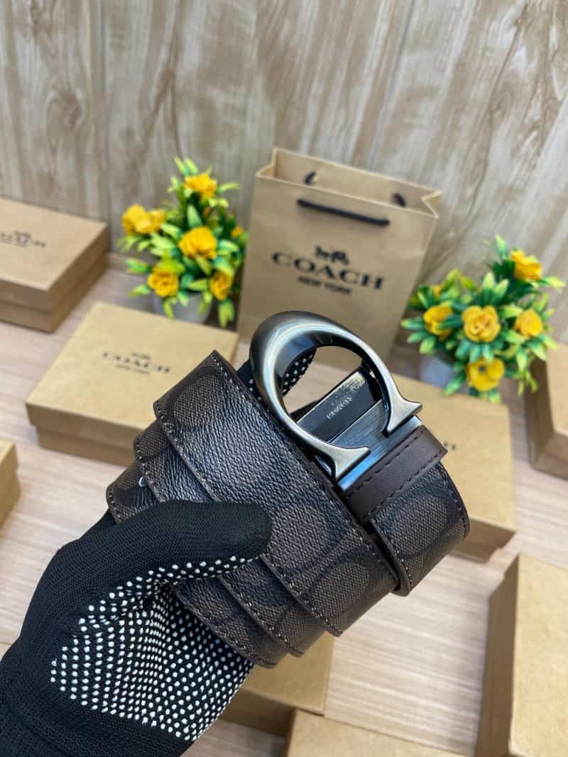 COACH_BELT_C145