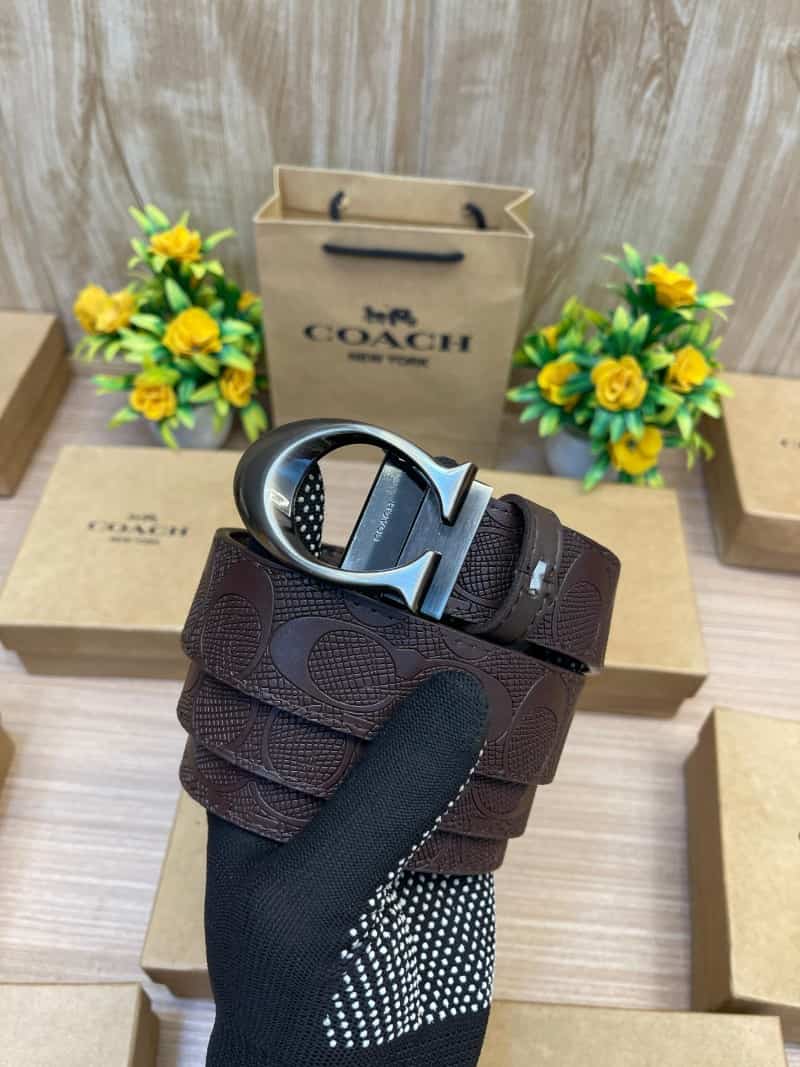 COACH_BELT_C145