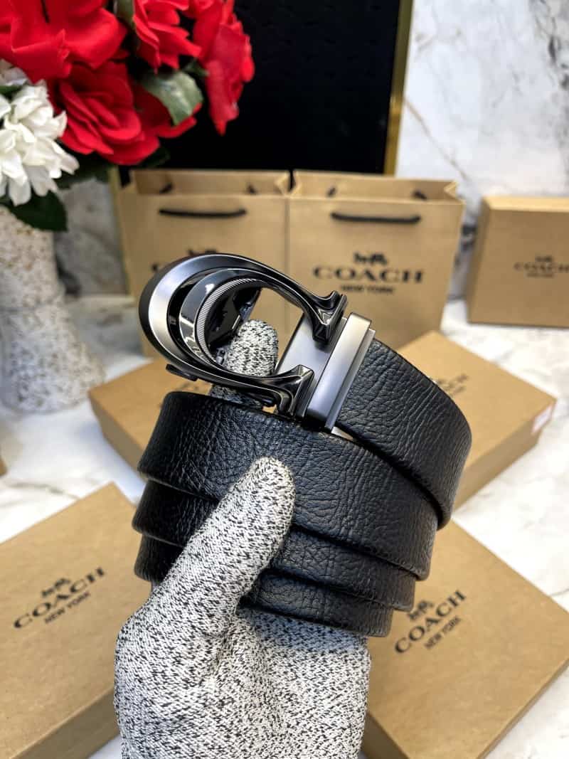 COACH_BELT_C134