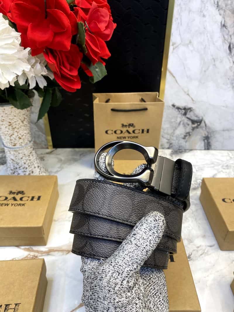 COACH_BELT_C106