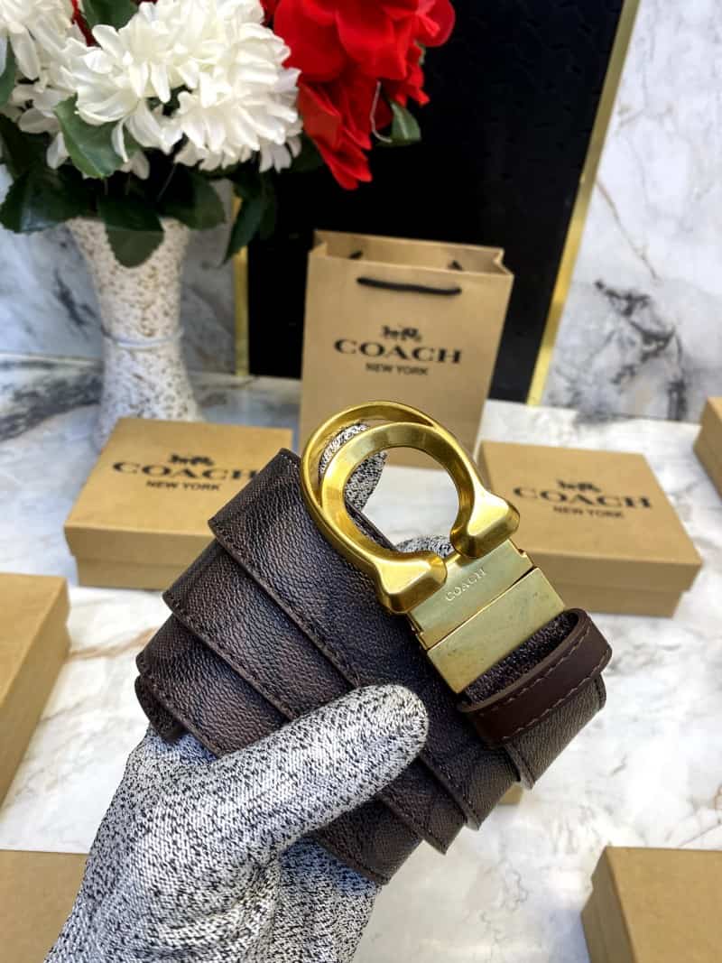 COACH_BELT_C105