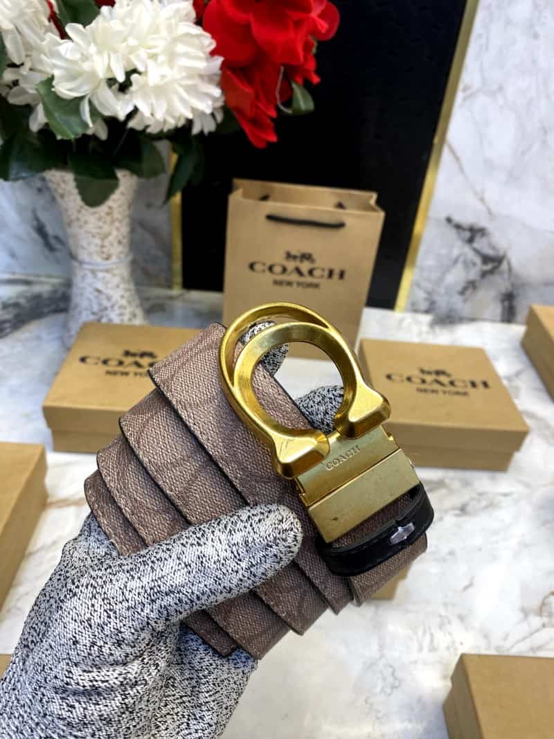 COACH_BELT_C103