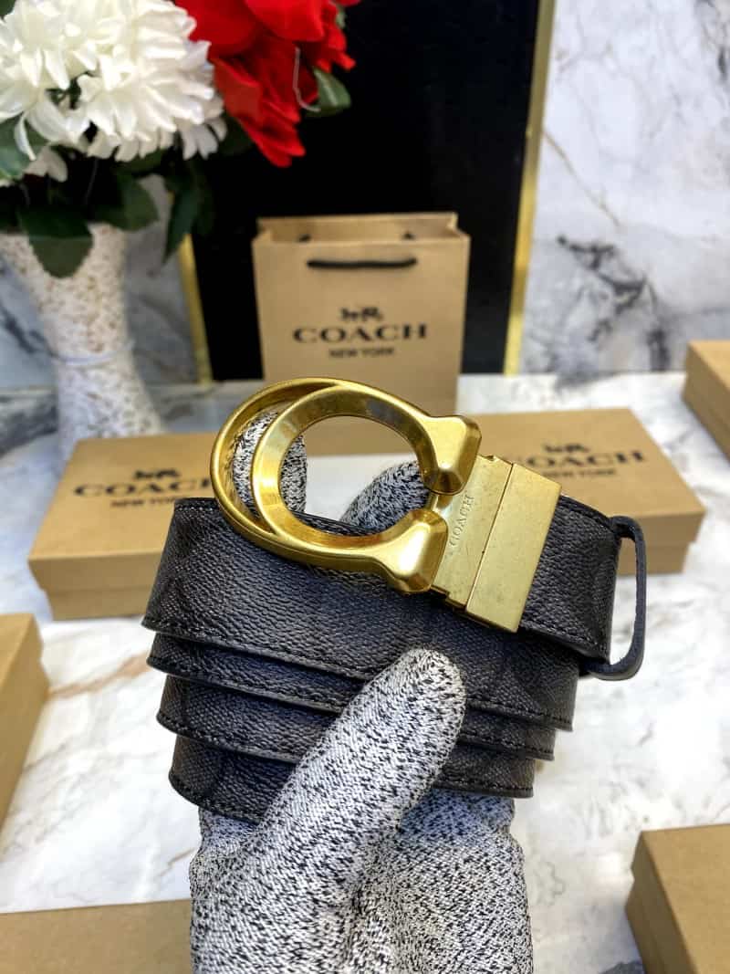 COACH_BELT_C104