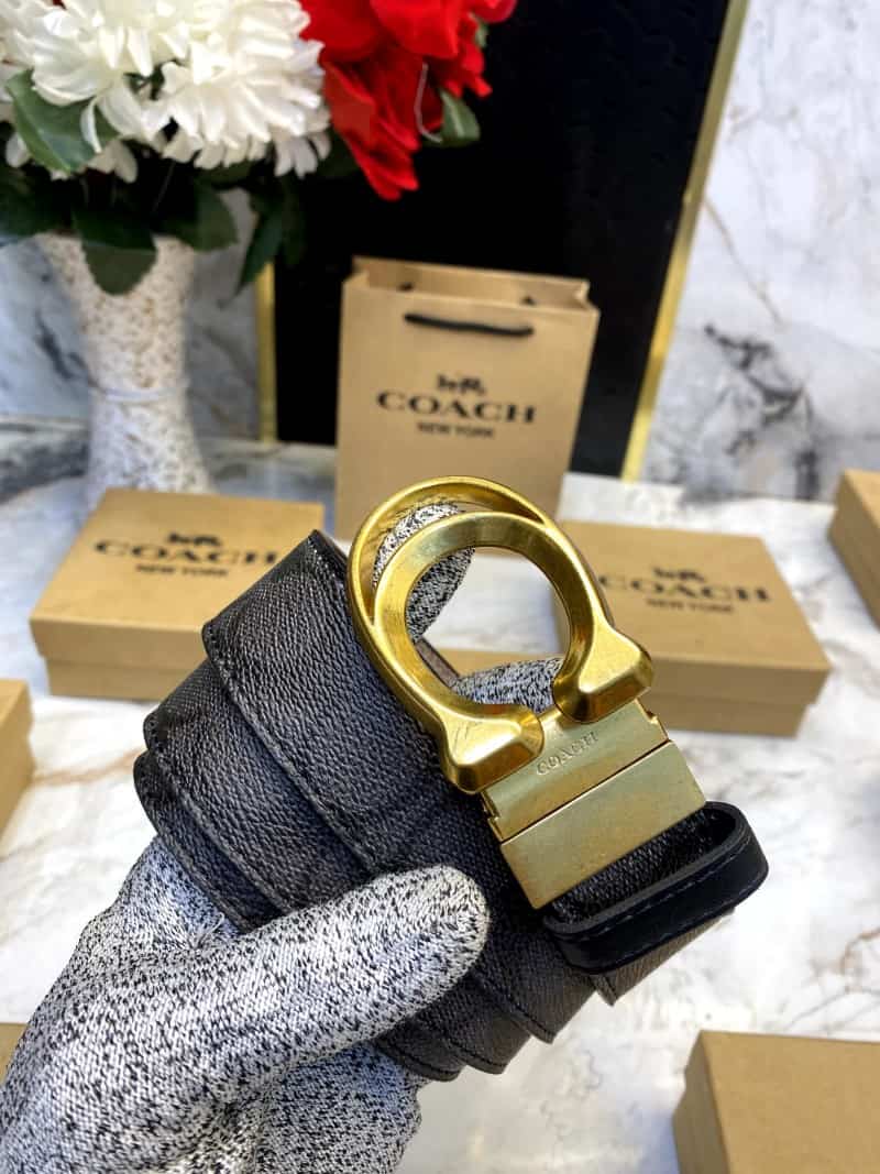 COACH_BELT_C104