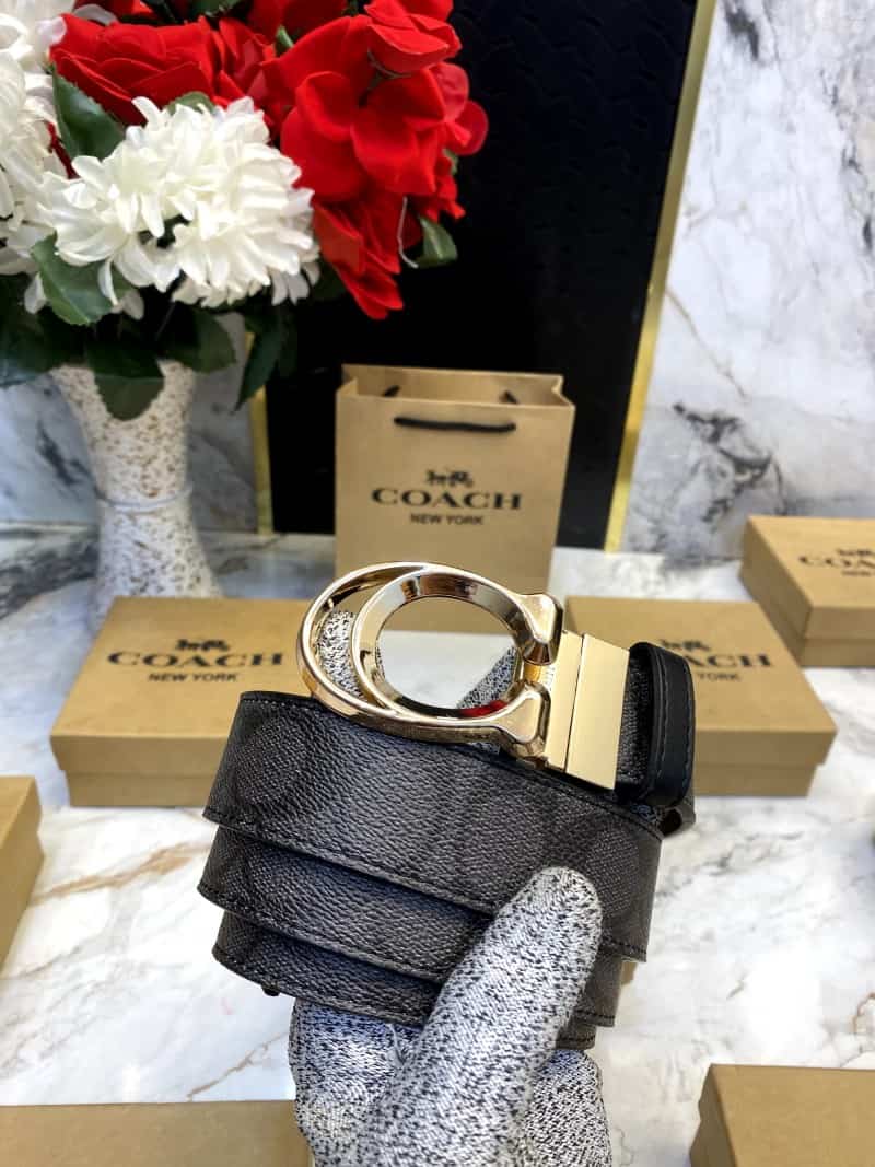 COACH_BELT_C101