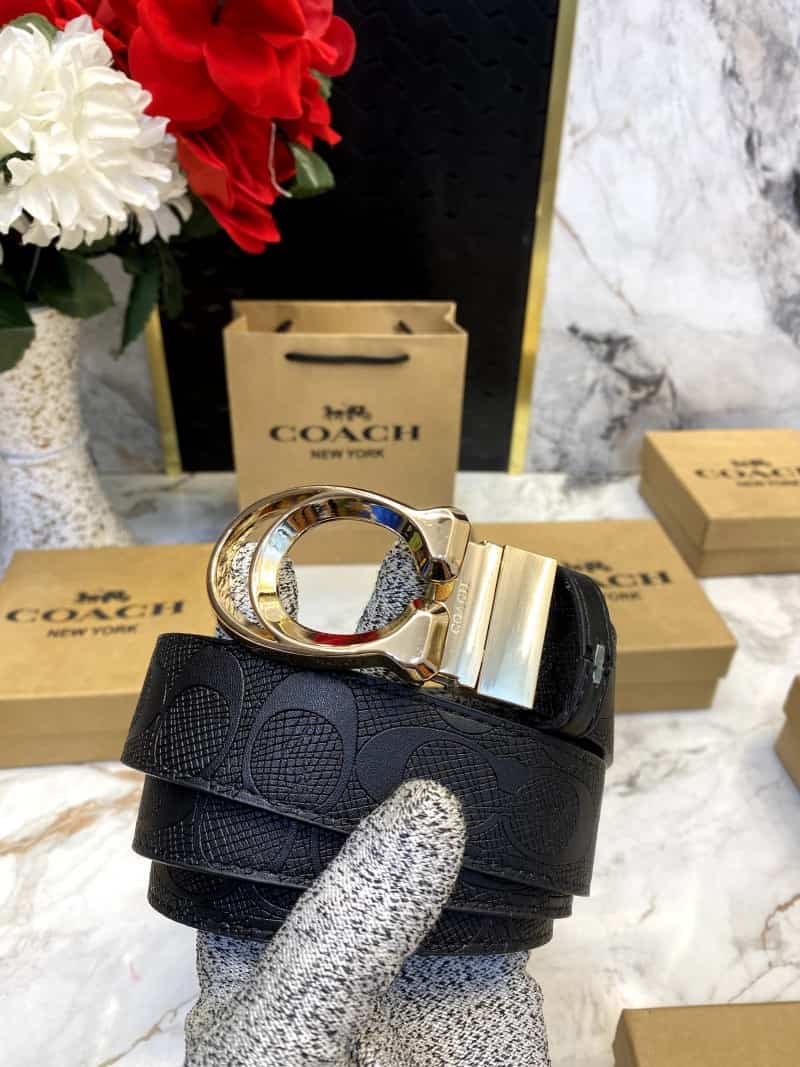 COACH_BELT_C102