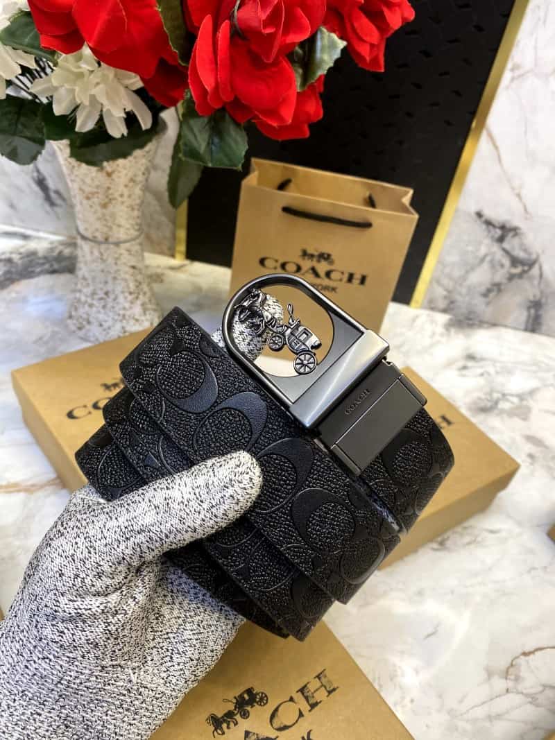 COACH_BELT_C84