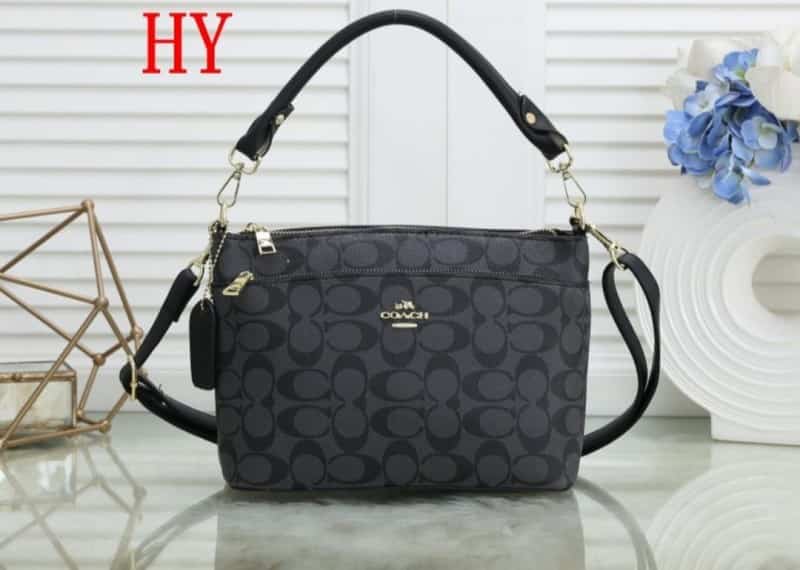 COACH_Dupe_Monogram_Sling_Bag_808
