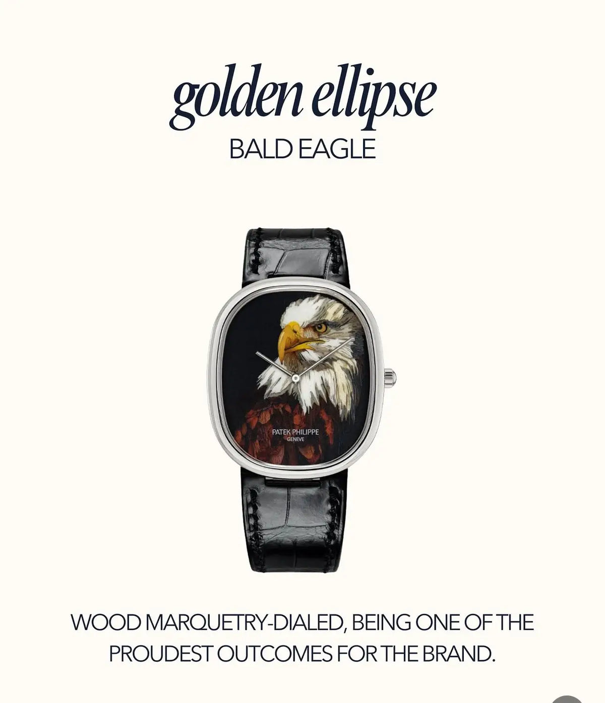 Patek Golden Ellipse Bald Eagle Premium Quartz Watch