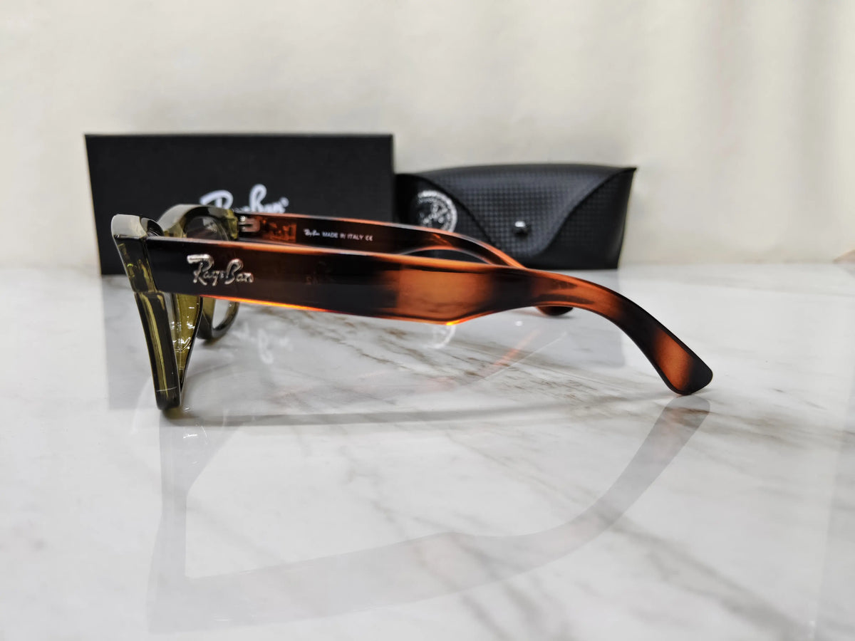 RAY BAN 0502 OLIVE TORTOISE DAY NIGHT FRAME