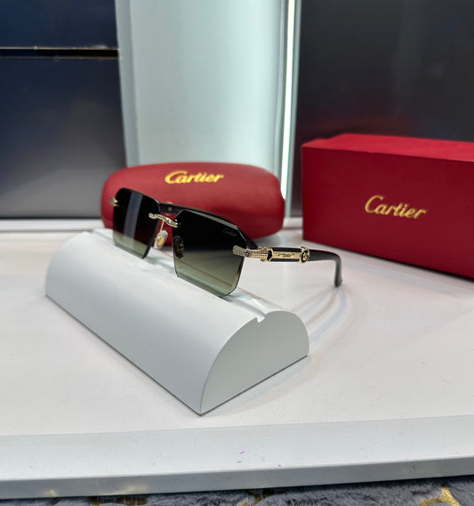 Cartier Green Designer Karan Aujla Eiditon Shade Luxury Shade With Original Packing